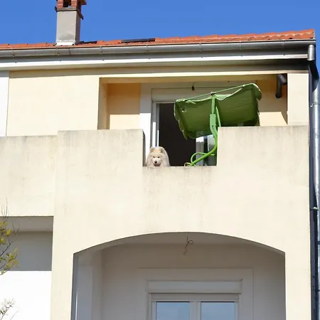 Lucija Apartman